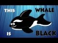 Learn Colors With Animals Children Nursery Rhyme Simple Song Color Lesson For Babies Toddlers