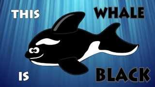 Learn Colors with Animals! | Children Nursery Rhyme Simple Song | Color Lesson for Babies & Toddlers