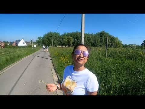 Brussels walking tour 3