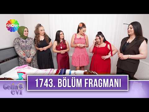 TV Programları