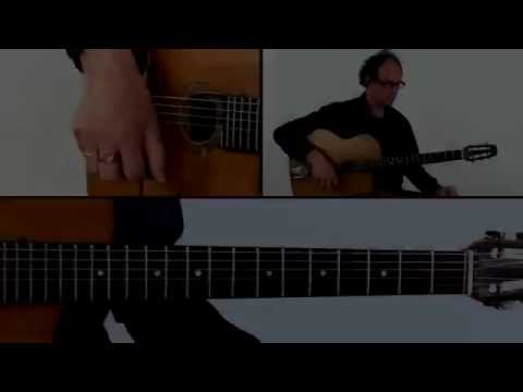 Gypsy Jazz Guitar Lesson - Diminished Performance - Reinier Voet