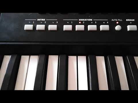 Korg pa 300 audio style