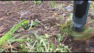 Give Weeds the 'Ol Razzle Dazzle