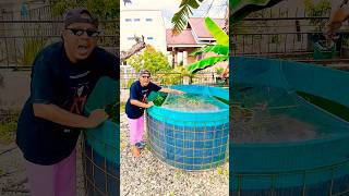 Download lagu Hell Hole #shorts #ghost #mystery #horror #subscribe #funny #comedy #viral #trending #music mp3 Download lagu Hell Hole #shorts #ghost #mystery #horror #subscribe #funny #comedy #viral #trending #music mp3