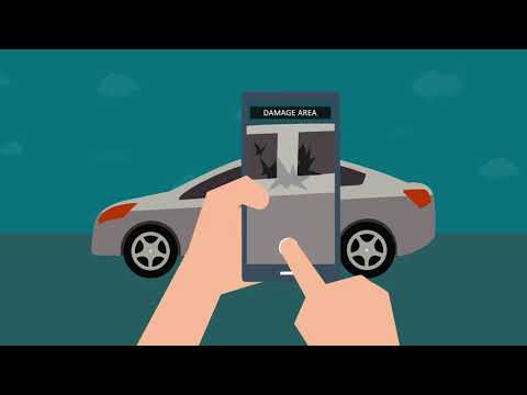 EstVis for ODBII Scanners
