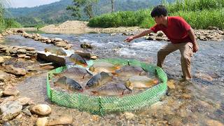 Download lagu After a two-day fishing trip in the large stream, Lam had a bountiful catch of fish. mp3