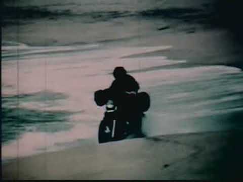Bronson1