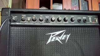 Video thumbnail for Peavey audition 110 usa By Maxbaza by Peerasin