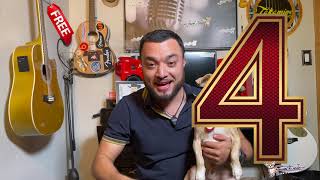 TOP 10 Requintos 12 cuerdas Economicos