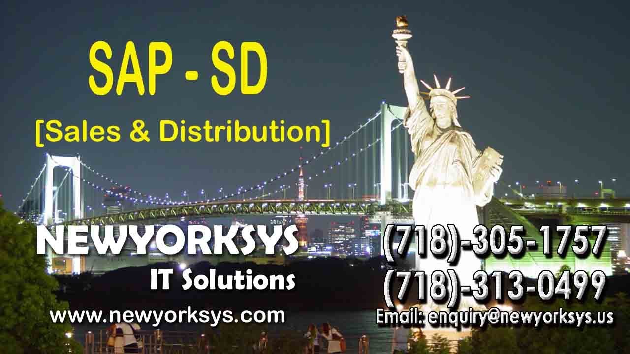 SAP SD Training | Sales and Distribution Overview Online Tutorial Session - FULL HD