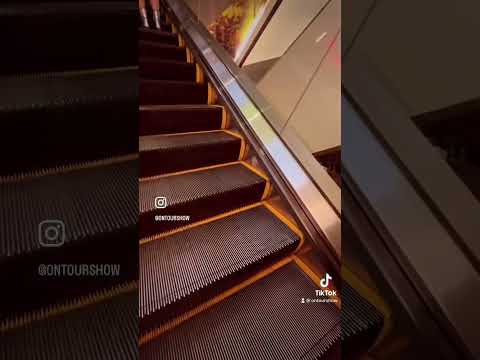 Tips and tricks for visiting Madison Square Garden #shorts