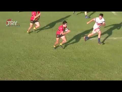 RESUMEN cardenales 21   natacion 17