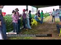 Dia de Campo reúne produtores em busca de tecnologias para o cultivo da soja em Rolim de Moura