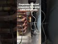 Prep table refrigerator Evaporator and Evaporator fans #shorts #refrigeration #refrigeratorrepair