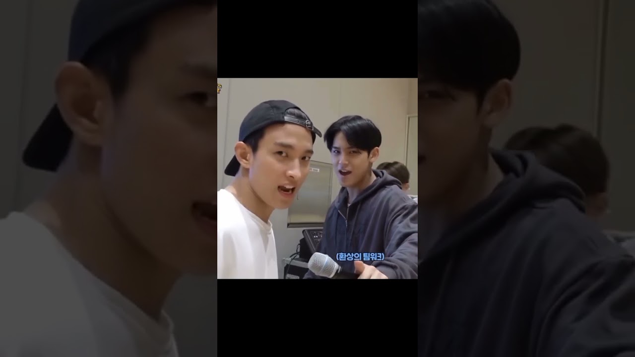 Gyuseok duo chaos!#mingyu #dk #leeseokmin #kimmingyu #seventeen #carat #friends #chaos #kpop #funny