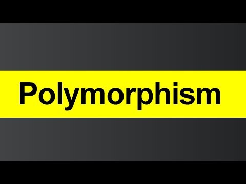 What is Polymorphism Hindi