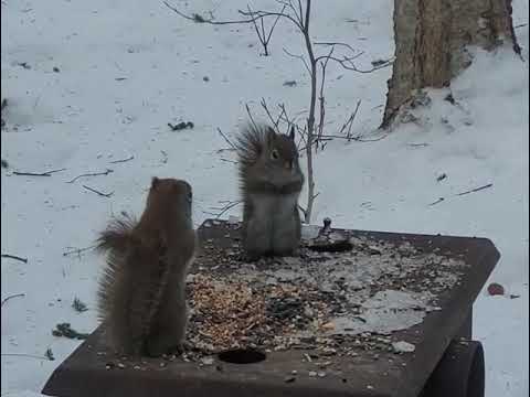 Just share! Life's too short.