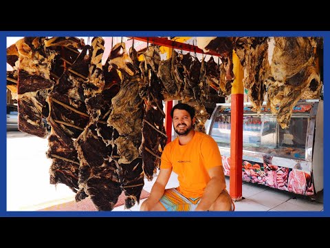 Provando a CARNE DE SOL mais FAMOSA do Brasil - Campo Maior , PIAUÍ | RIO4FUN