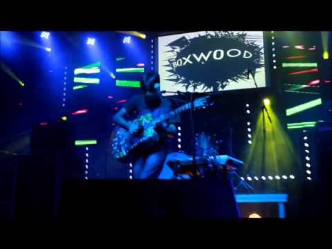 Boxwood- Live Looping 