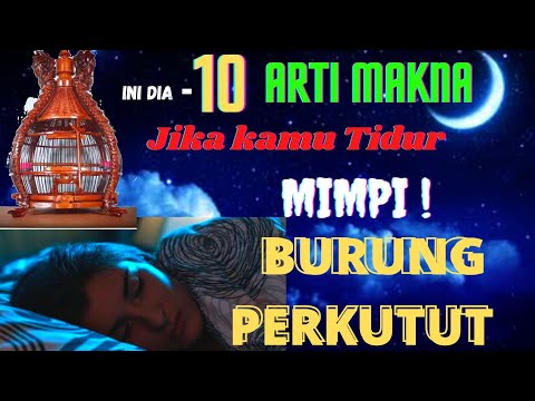 Buku Mimpi Burung Perkutut