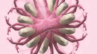 Music For Sleeping Children - Baylee