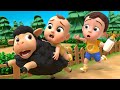 Baa Baa Black Sheep Newborn Baby Songs Nursery Rhymes