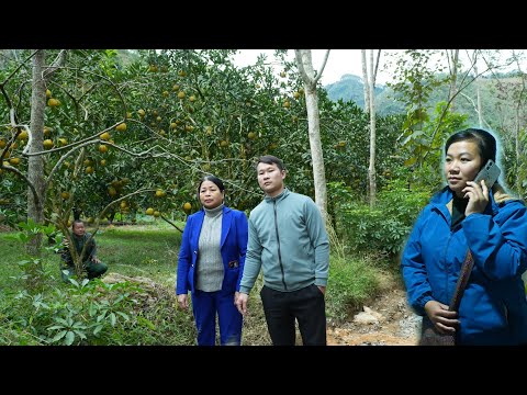 CEO David nearly disappeared; did he really keep his promise to Maya?