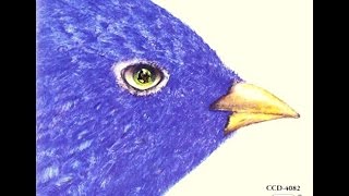 Charlie Byrd Trio - Von Vivendo