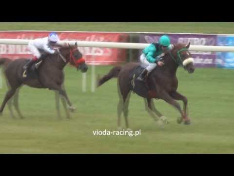 Gon. IV - 13.10.2013 - Tyl (Marvin El Samawi - Hatysa)