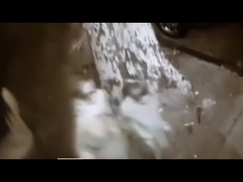 download lagu mp3 mp4 Amigos Valencia Mayores De 50 Aos, download lagu Amigos Valencia Mayores De 50 Aos gratis, unduh video klip Amigos Valencia Mayores De 50 Aos