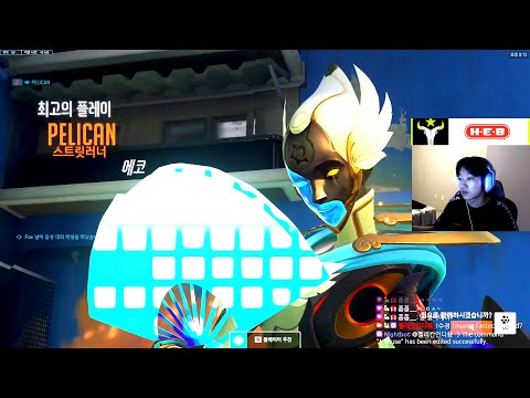 PELICAN RANK 18 DPS PELICAN ECHO - POTG! [ OVERWATCH 2 TOP 500 ]