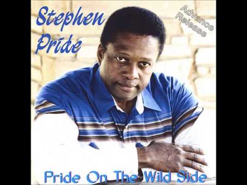 Stephen Pride - Perfect Picture