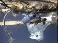 National Geographic 1996 Commercial