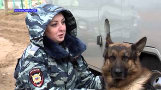 Рыбалка в икрянинском р не астраханской обл
