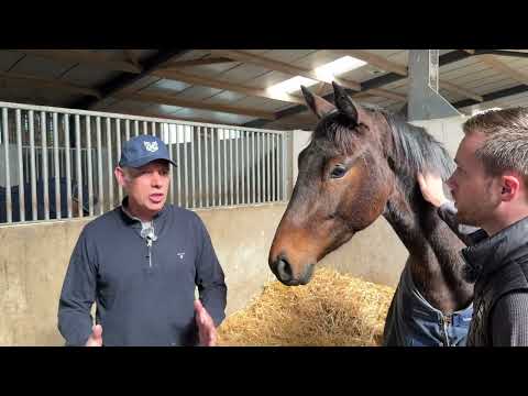 Show Lumet - ARQANA 2025 : qui dit nombreuses pré-inscriptions dit beaucoup de tournées de sélection