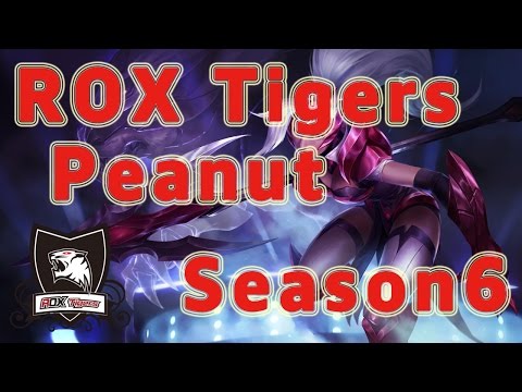 ROX Tigers Peanut Nidalee Jungle vs Hecarim Patch 6.19 in NA