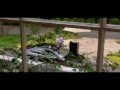 Endless Love ( Бесконечная любовь ) - Official Trailer 