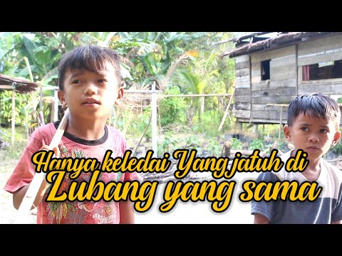 hanya-keledai-yang-jatuh-di-lubang-yang-sama