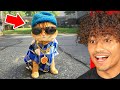 87 Funniest TikToks On The Internet