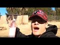 FULCRUM GOES TO THE ZOO