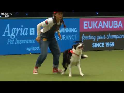 Marisol Rey en Crufts 2018 - Mundial de Freestyle - Inglaterra