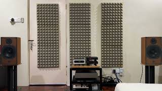 Both Sides Now - Willie Nelson