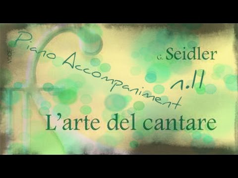 Seidler n. 11 - Play-Along (Piano Accompaniment)
