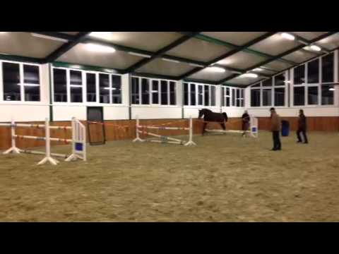 Baxxter beim Freispringen