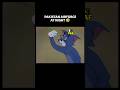Pakistan Air Force At Night PAF Vs IAF Tom And Jerry Version