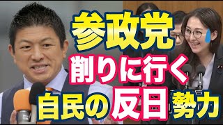 参政党「自民党の左派政治家を削っていく」ネット「政治家は嘘つきが多いから」