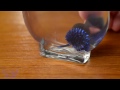 Video: Colorful Ferrofluid in a Bottle