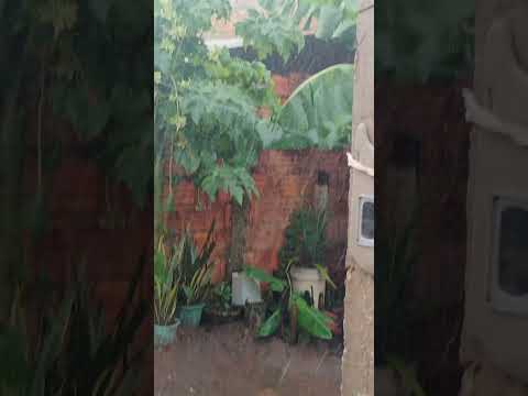 muita chuva em barra do Bugres MT