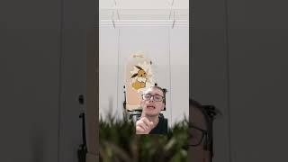 Nueva colaboración de SecretLabs X Pokémon MUY TOP