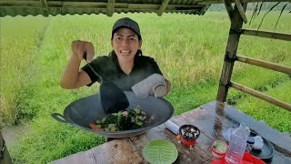 Download lagu Pick genjer and cook it straight away during heavy rain in the rice fields mp3